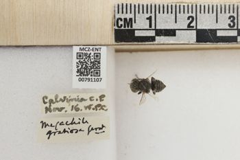 Media type: image;   Entomology 791107 Aspect: Labels